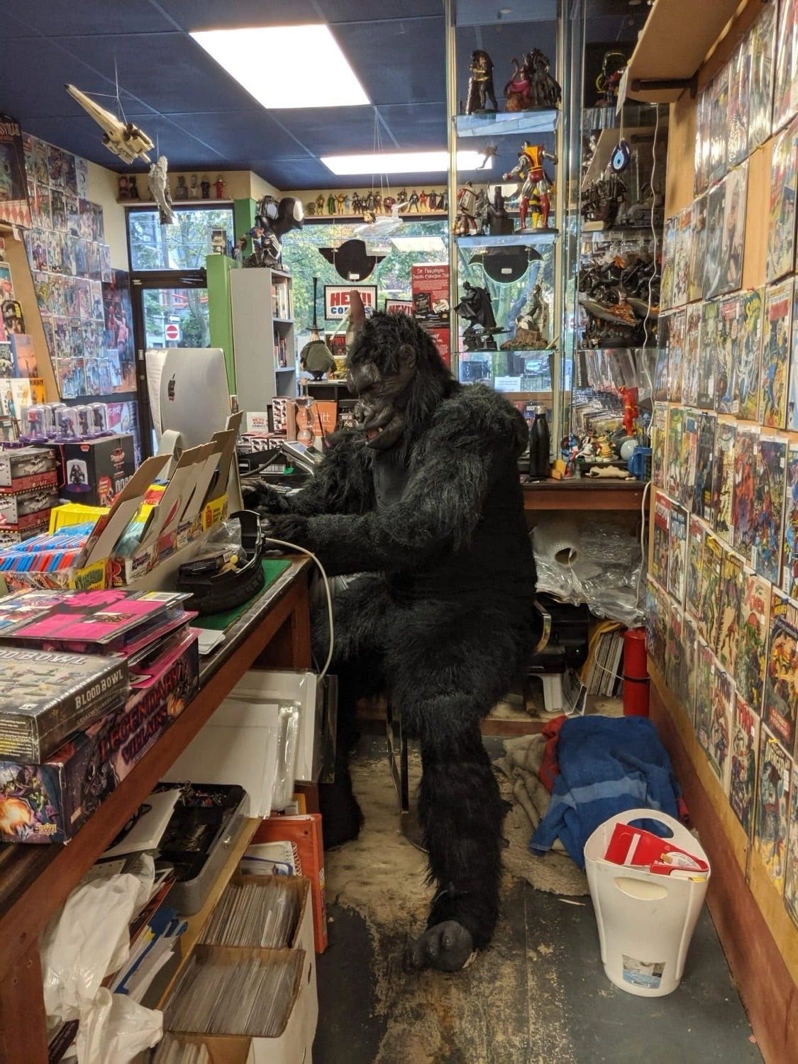 That is me behind the counter. Yes, it is a gorilla suit.